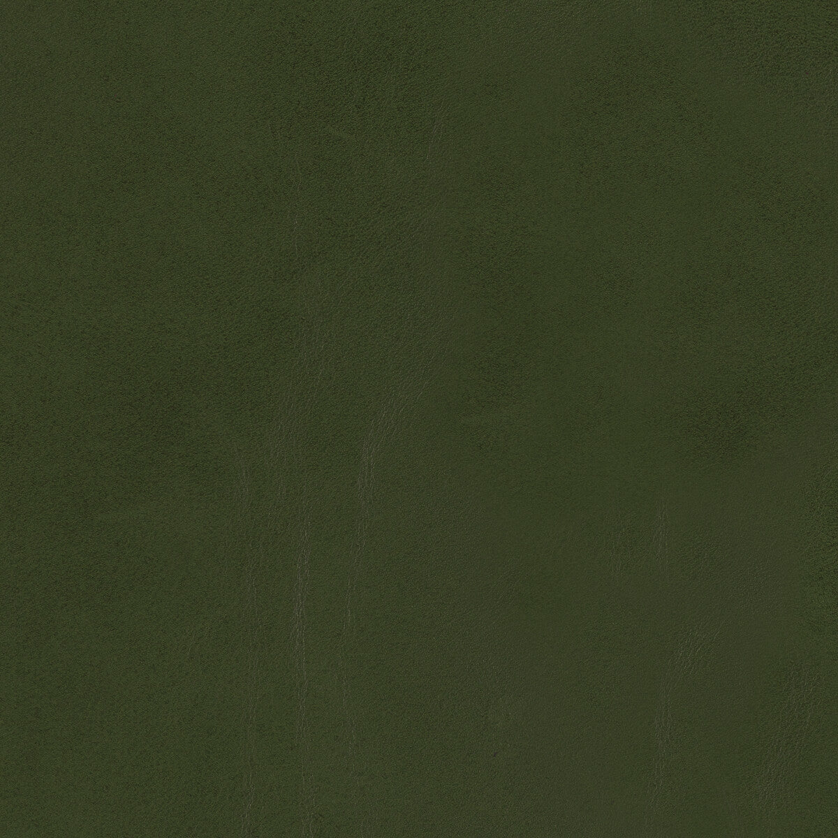 Kravet Design-L-Lobo-Leaf