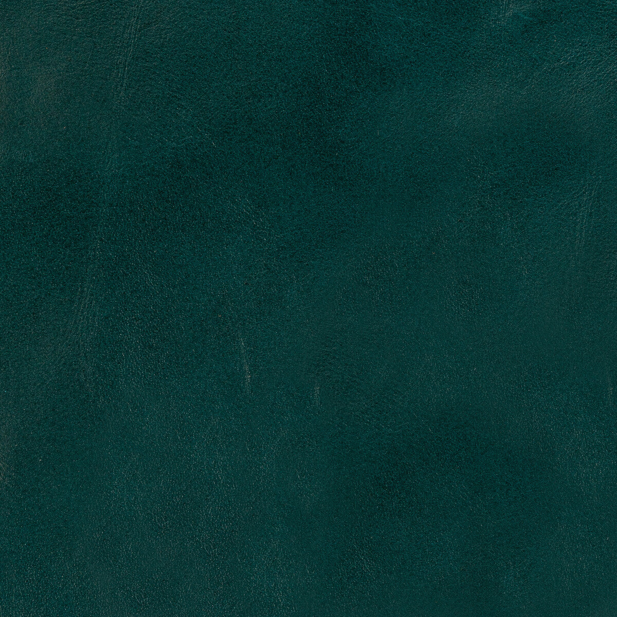 Kravet Design-L-Lobo-Teal