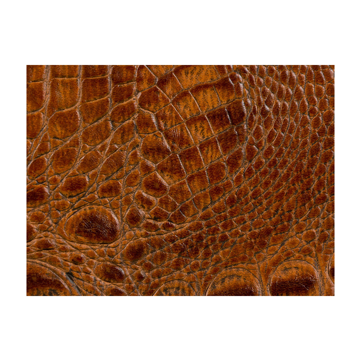 Kravet Couture-L-Madrid-Spice