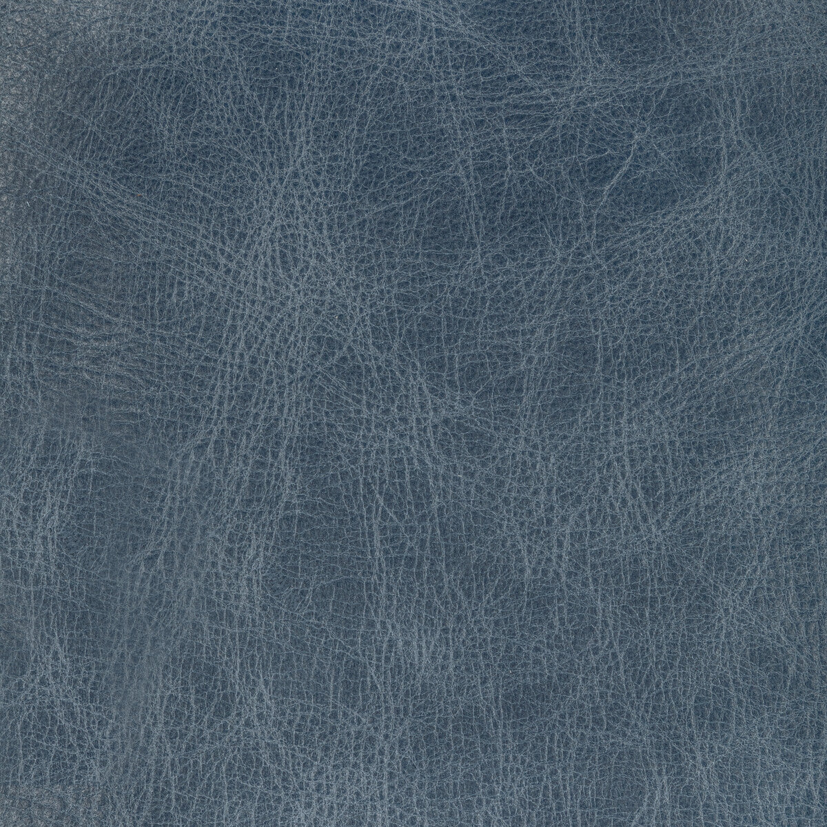 Kravet Design-L-Mane-Slate