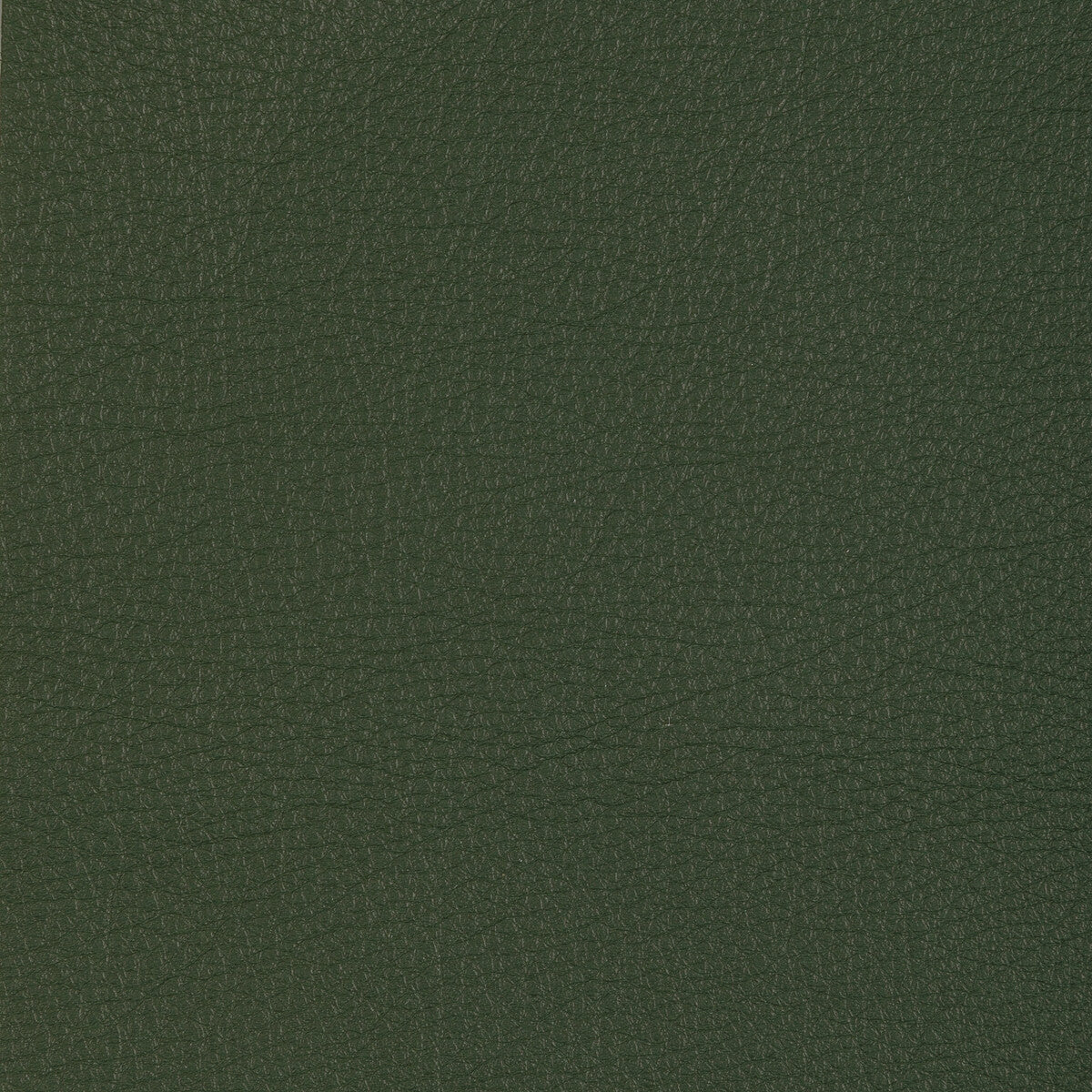 Kravet Design-L-Manzano-Sage