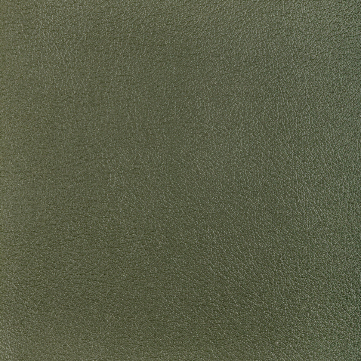 Kravet Design-L-Ocotillo-Hunter