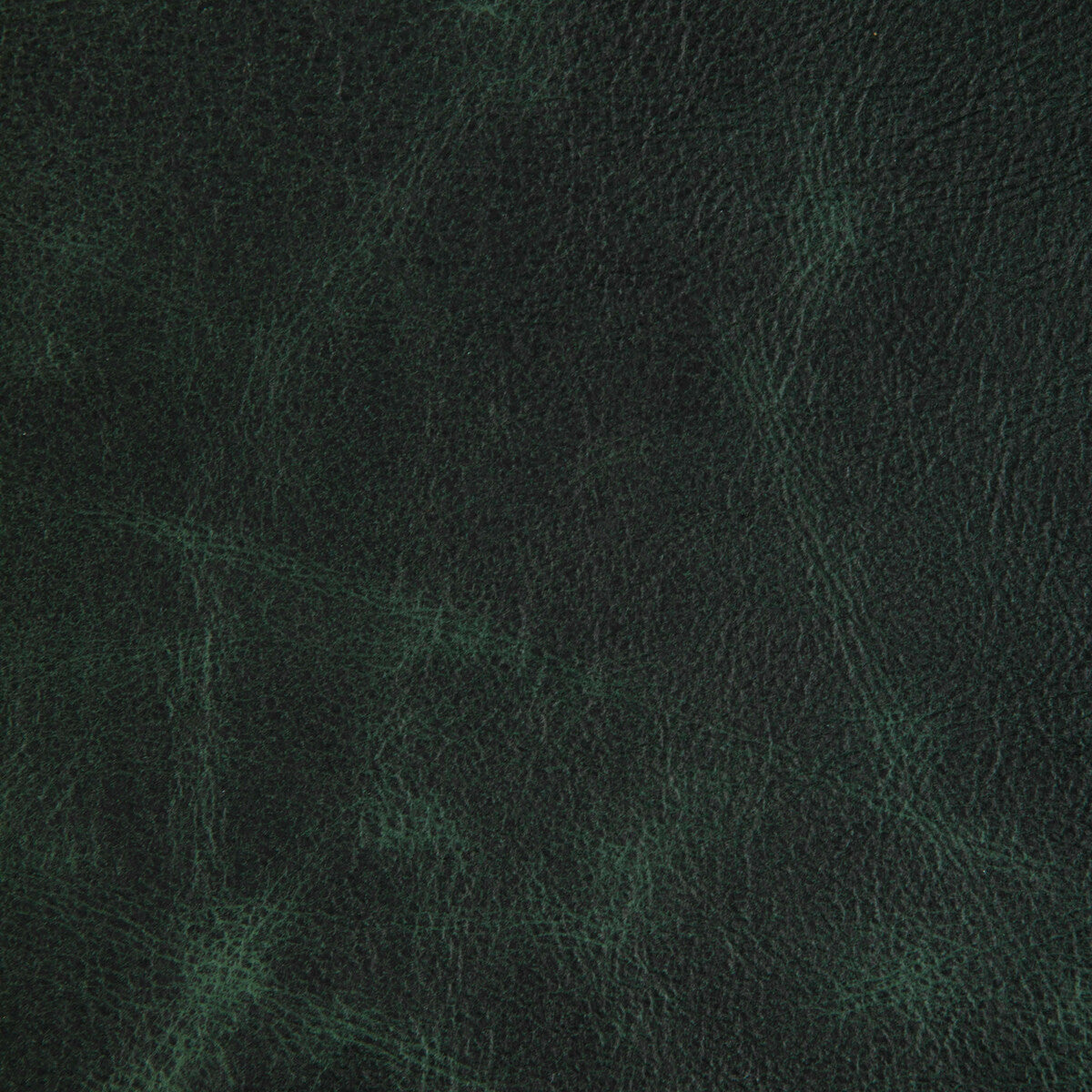 Kravet Design-L-Ovine-Hunter