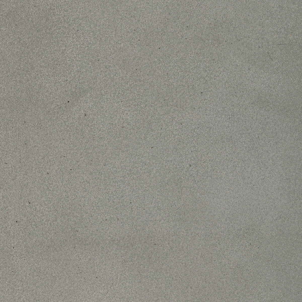 Kravet Design-L-Percha-Rain