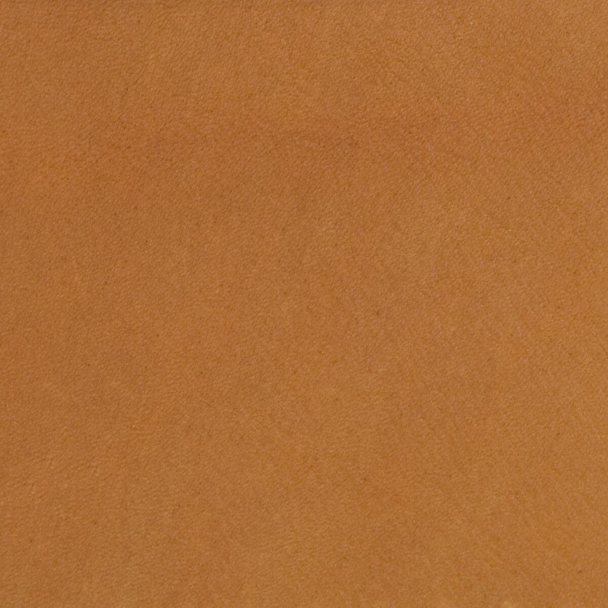 Kravet Design-L-Polo-Canyon