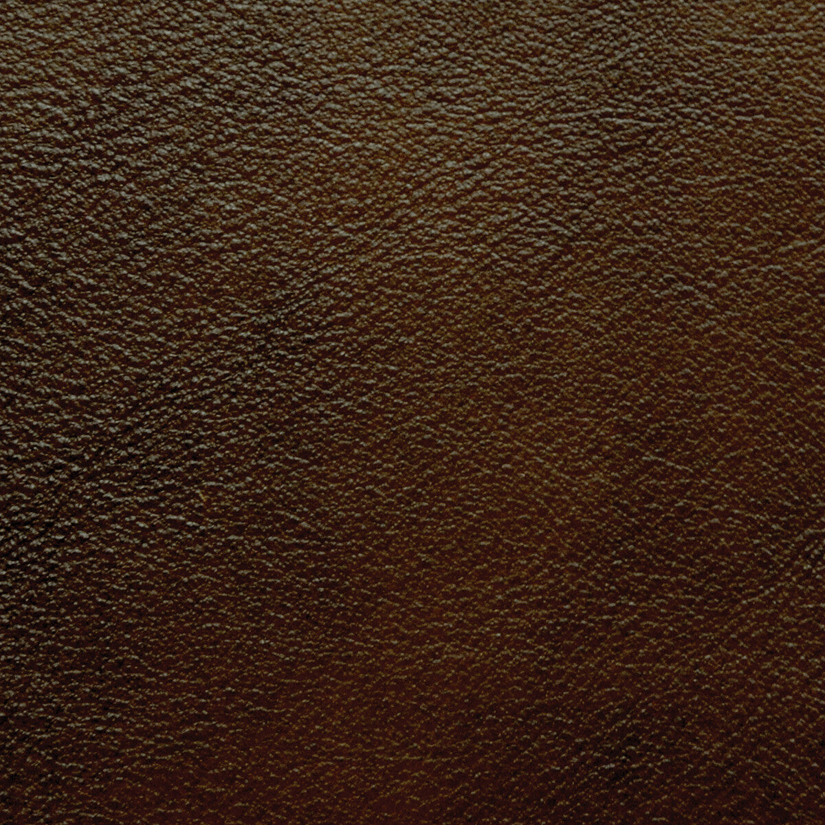 Kravet Design-L-Portofin-Sable