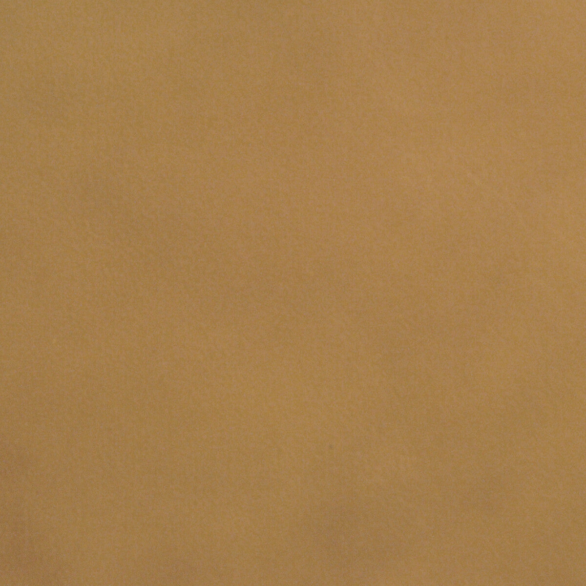 Kravet Design-L-Portofin-Tan