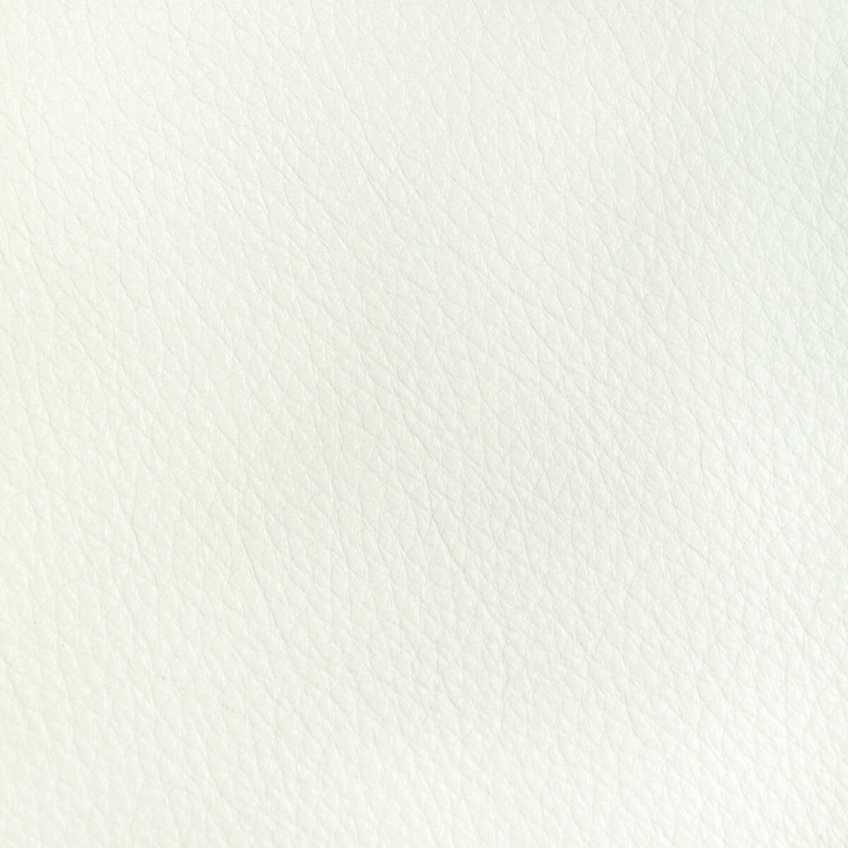 Kravet Design-L-Reata-Snow