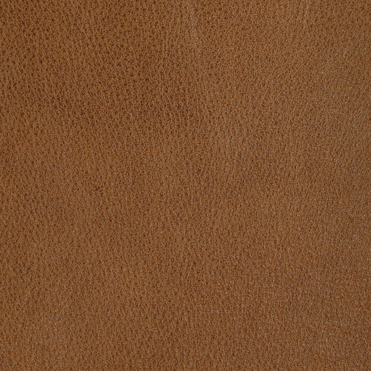 Kravet Design-L-Rein-Chai