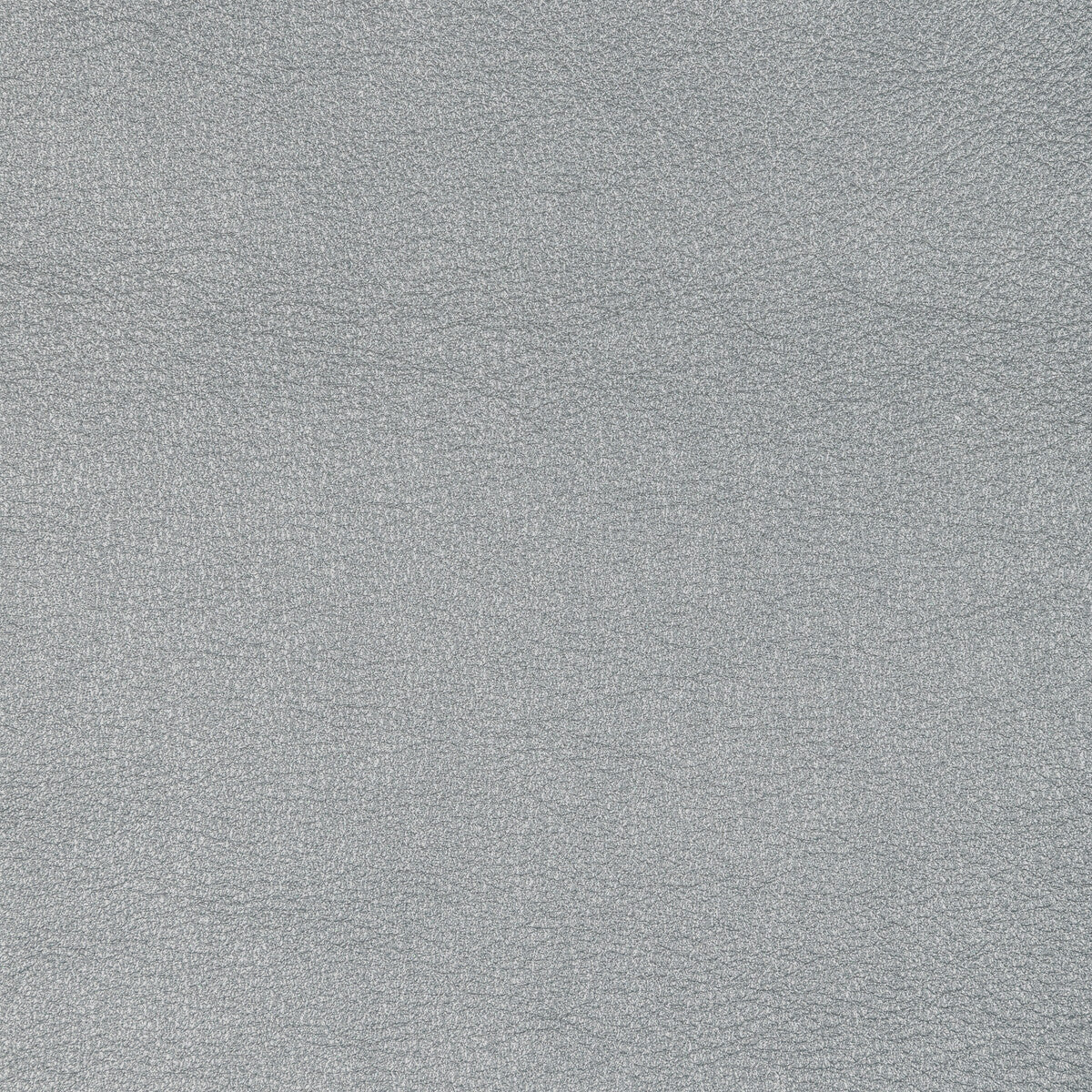 Kravet Design-L-Sierra-Platinum