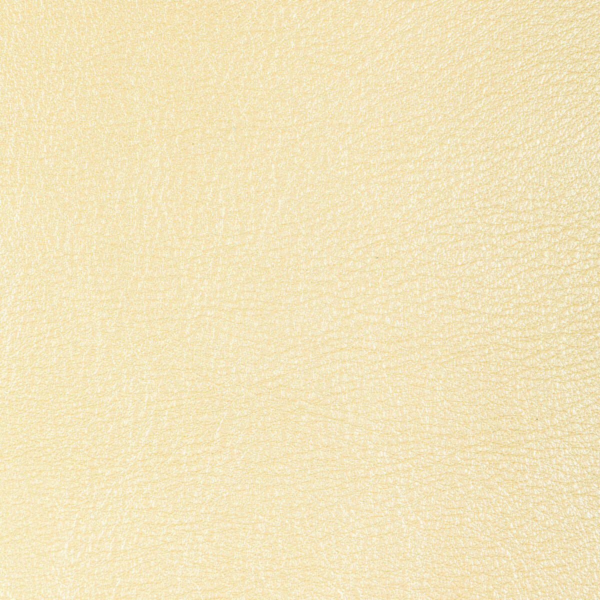 Kravet Design-L-Sierra-Wheat