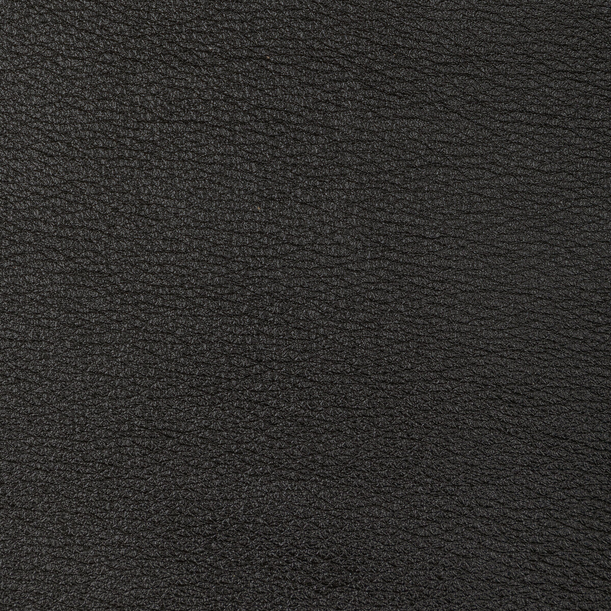 Kravet Design-L-Sonoran-Charcoal