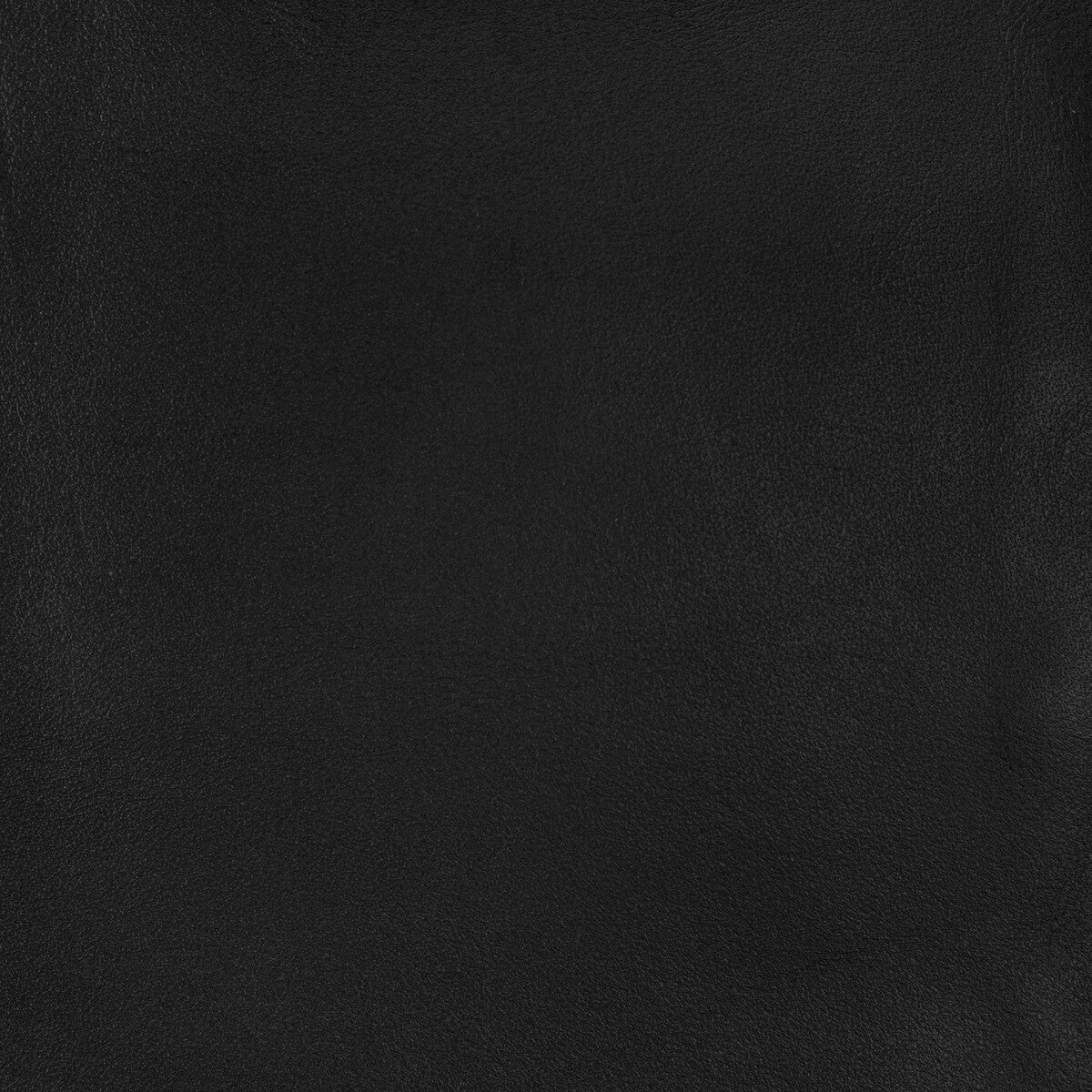 Kravet Design-L-Storrie-Coal