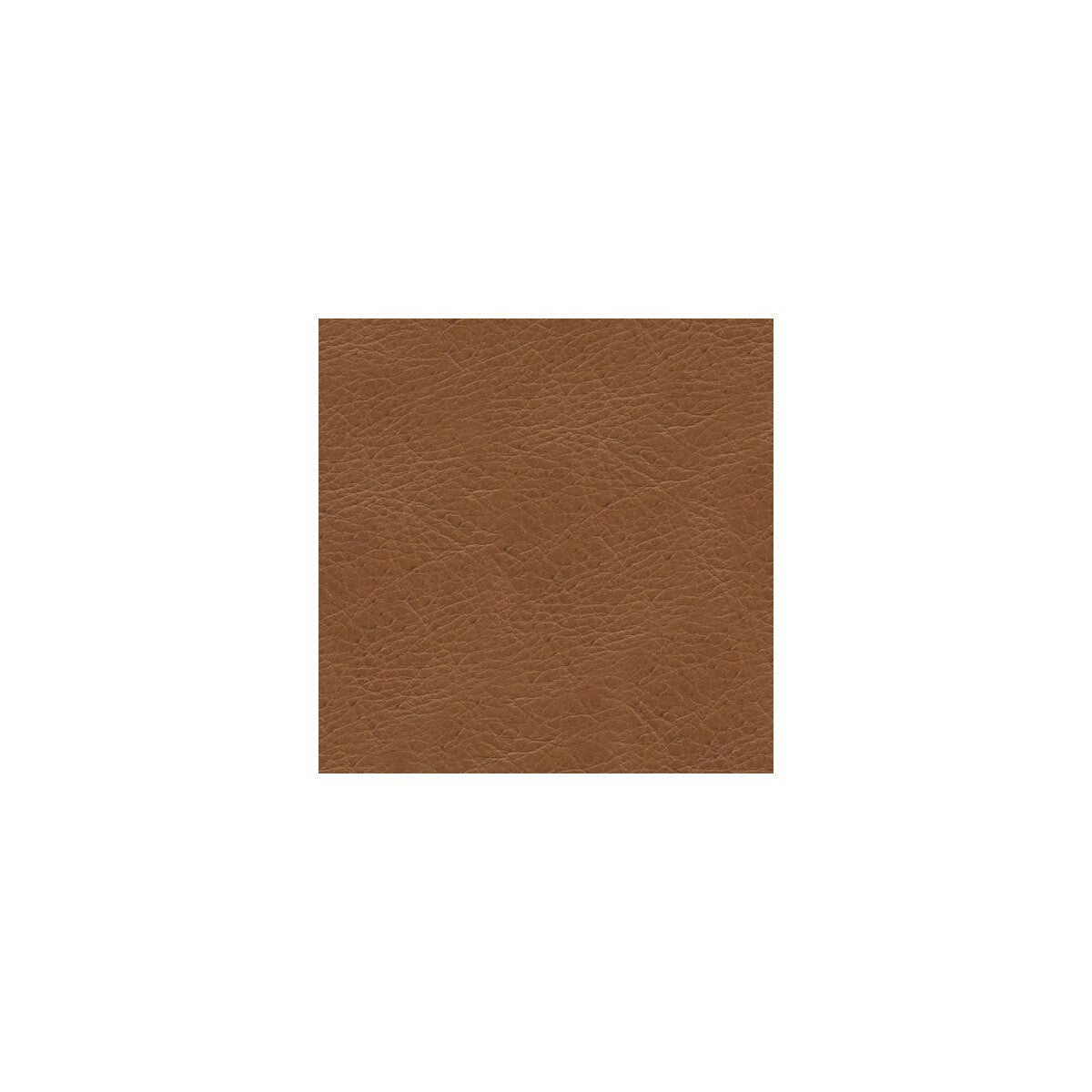 Kravet Design-L-Timeless-Desert