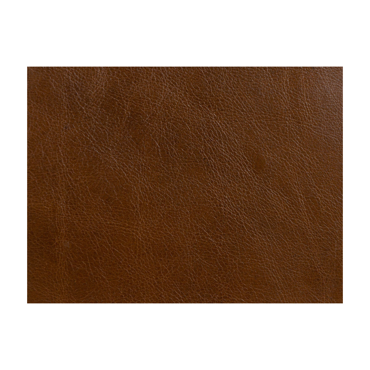 Kravet Design-L-Timeless-Saddle