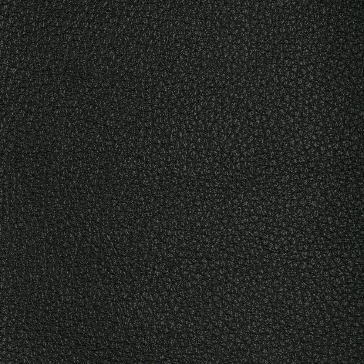 Kravet Design-L-Tucum-Black