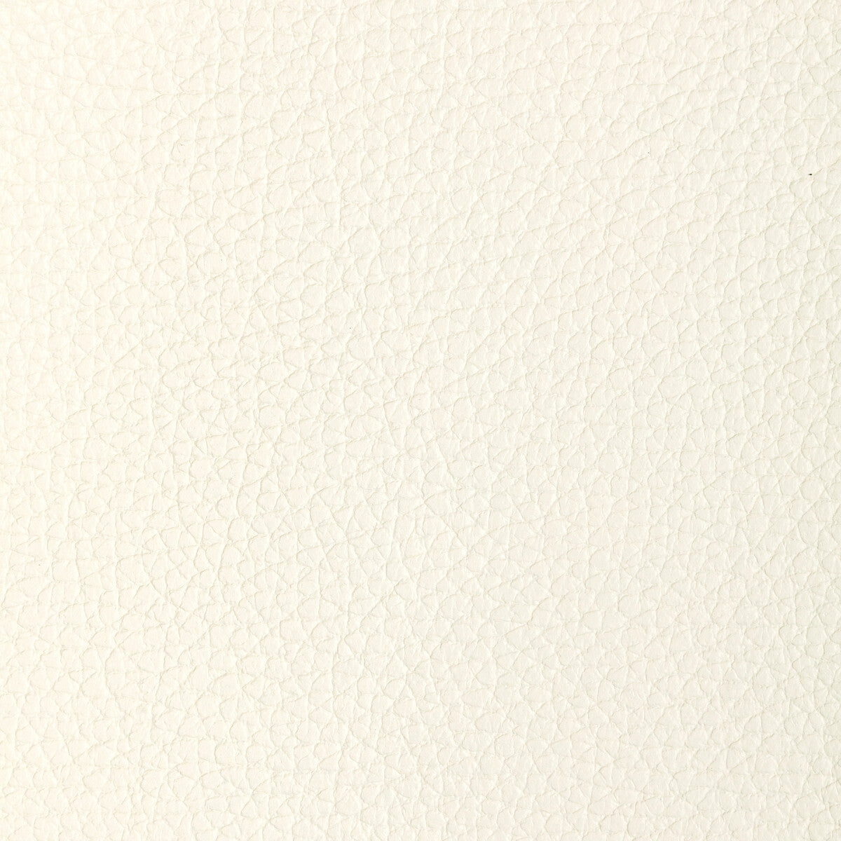 Kravet Design-L-Tucum-Blanc