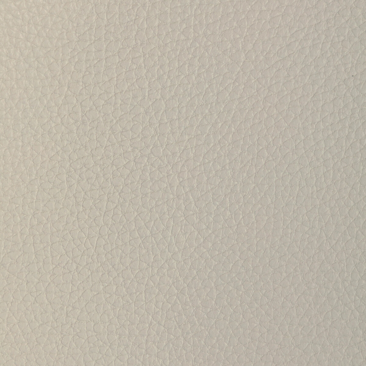 Kravet Design-L-Tucum-Dove