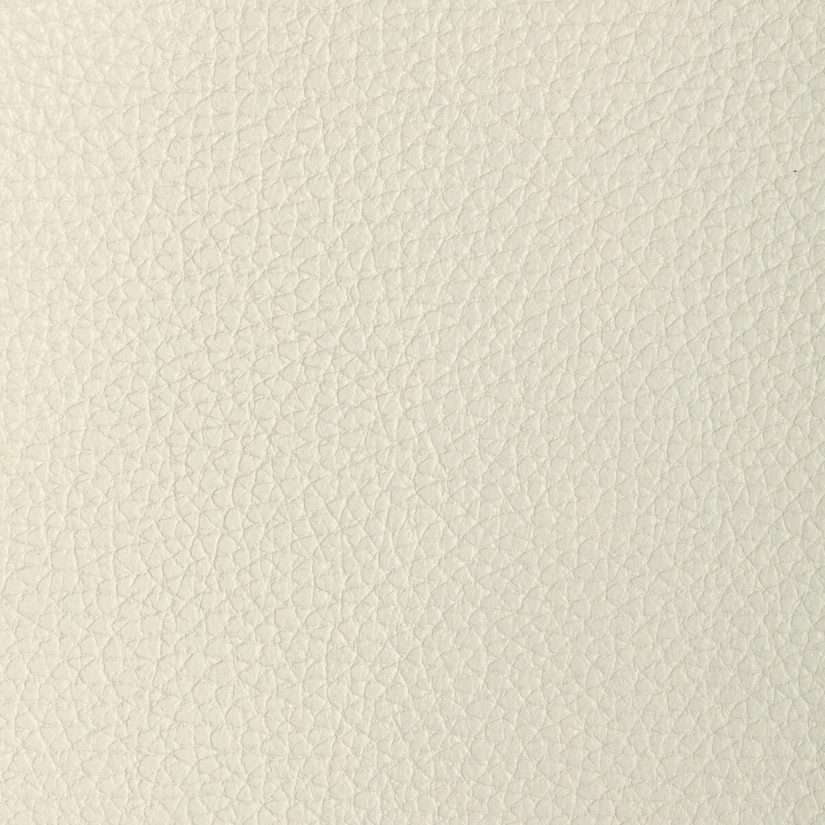 Kravet Design-L-Tucum-Oyster