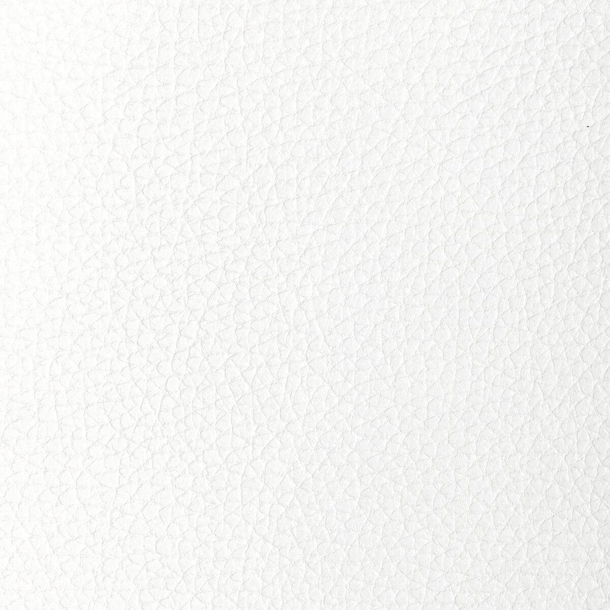 Kravet Design-L-Tucum-Powder