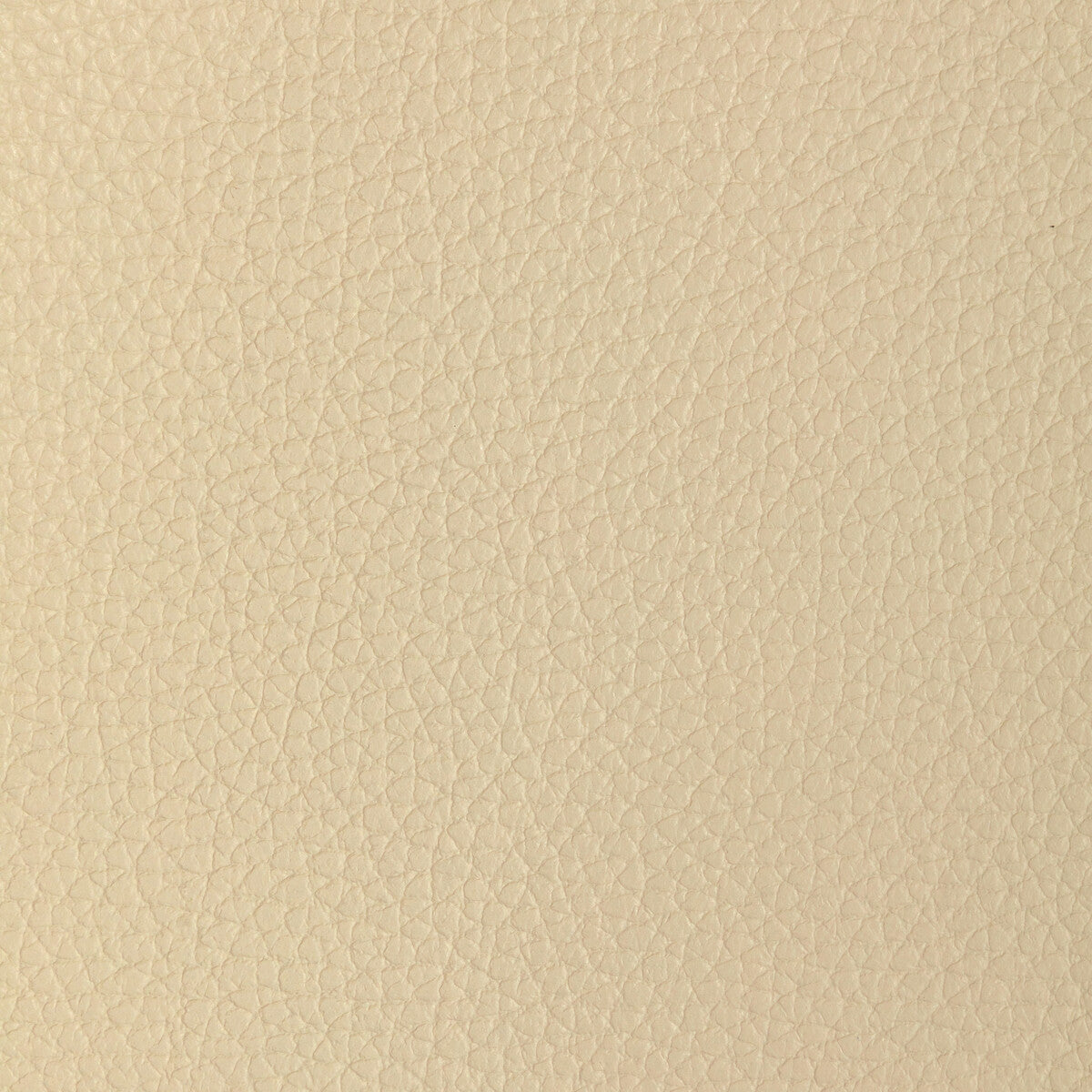 Kravet Design-L-Tucum-Wheat