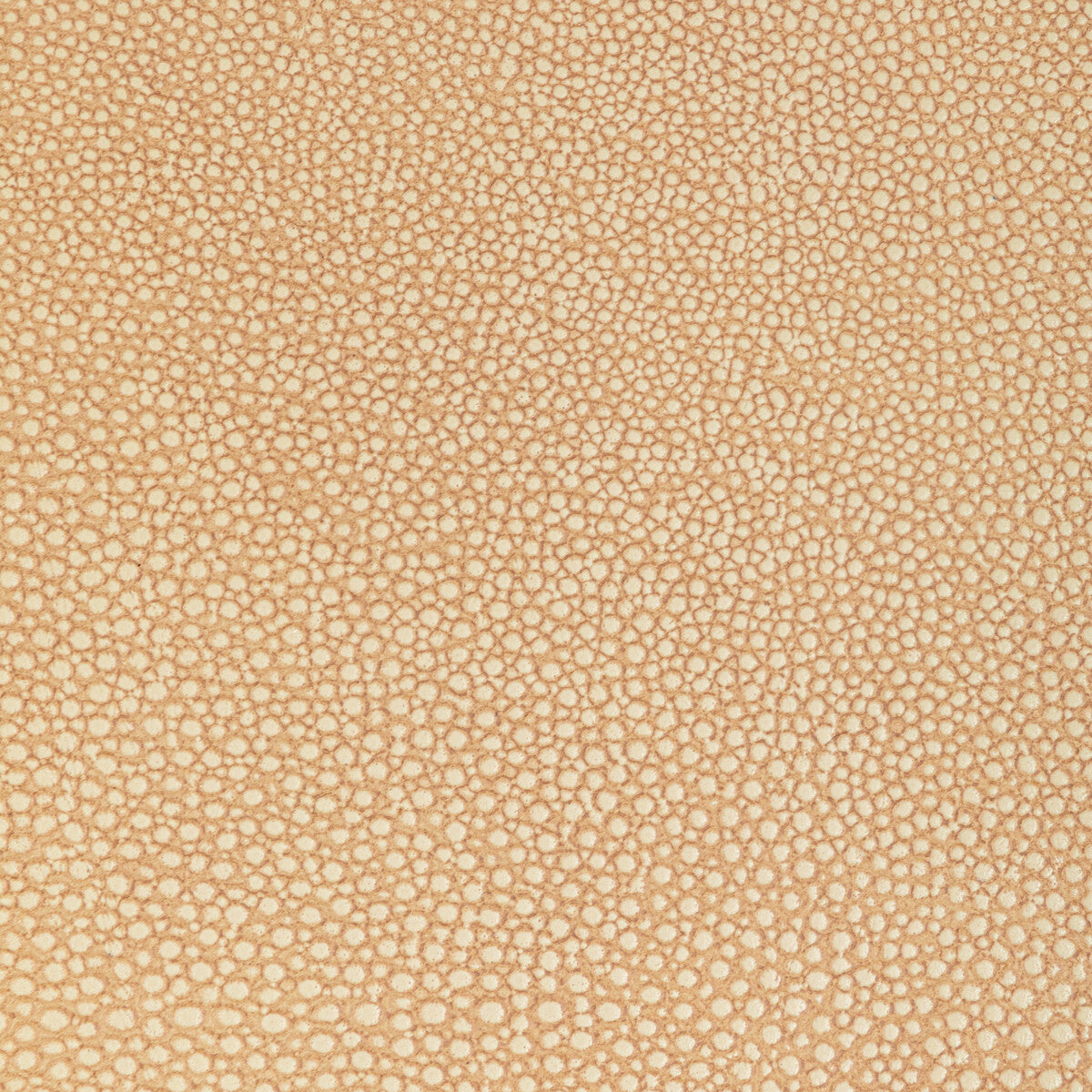 Kravet Design-L-Whit-Camel