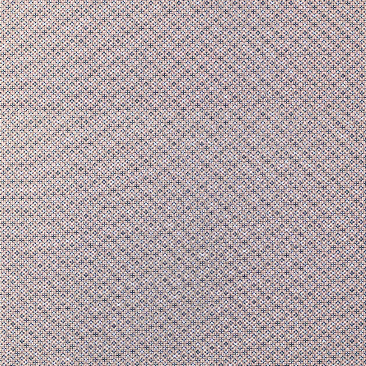 Prodigiosa-Rosa/Azul