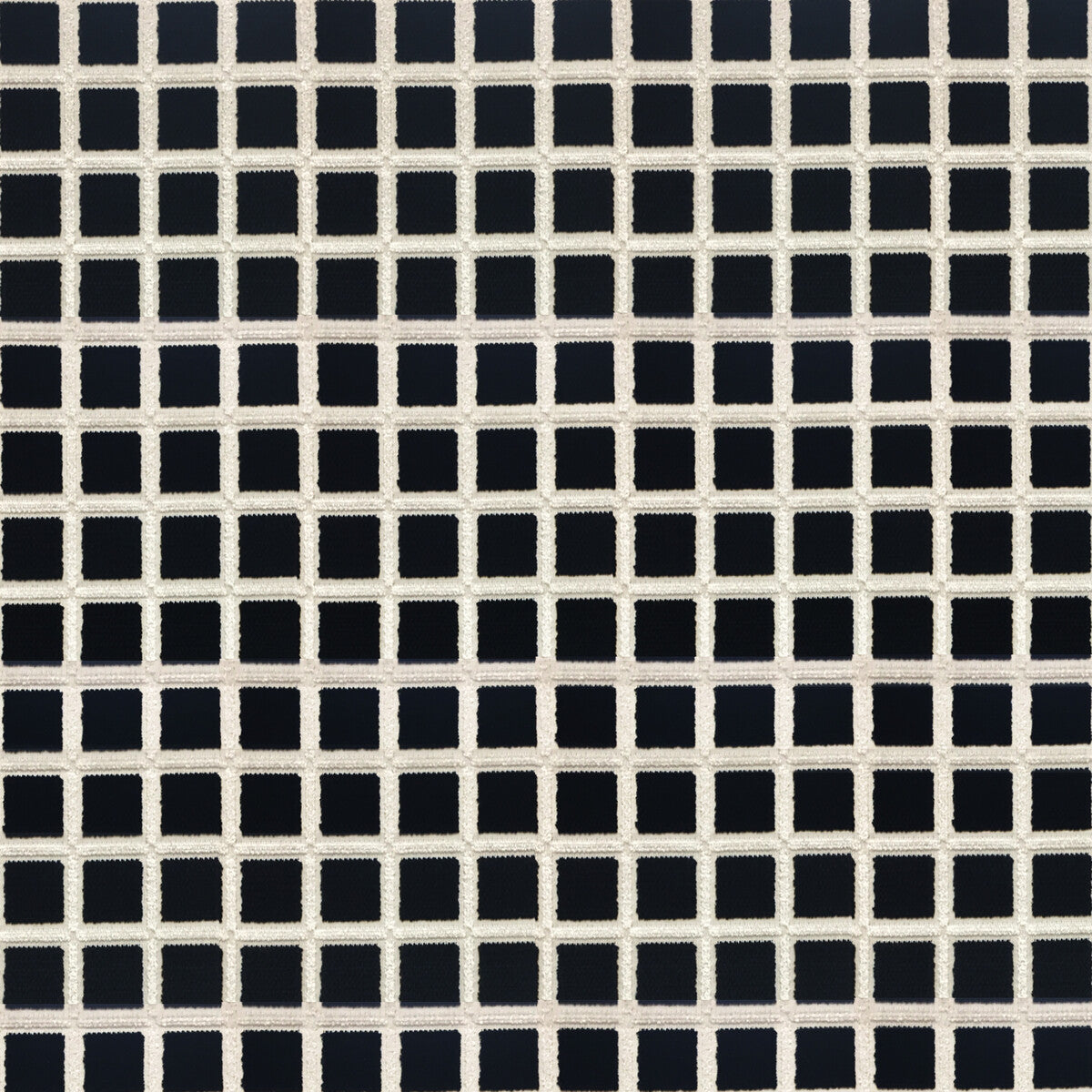 Buitrago-Negro/Blanco