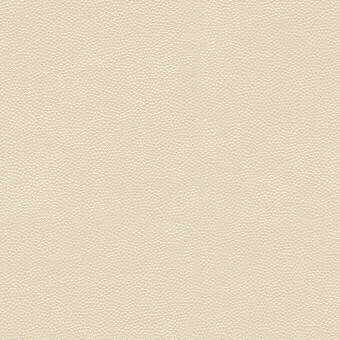 Kravet Design-Litestar-1