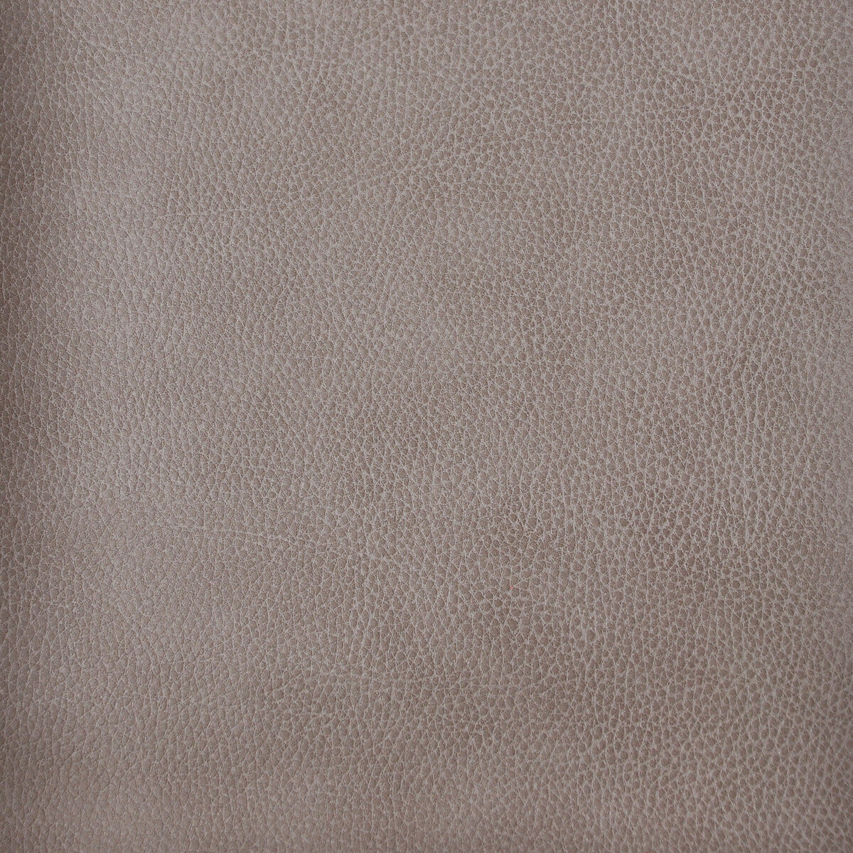 Kravet Design-Loris-11