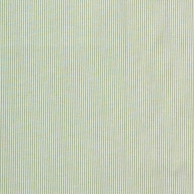 Pinstripe-Light Green