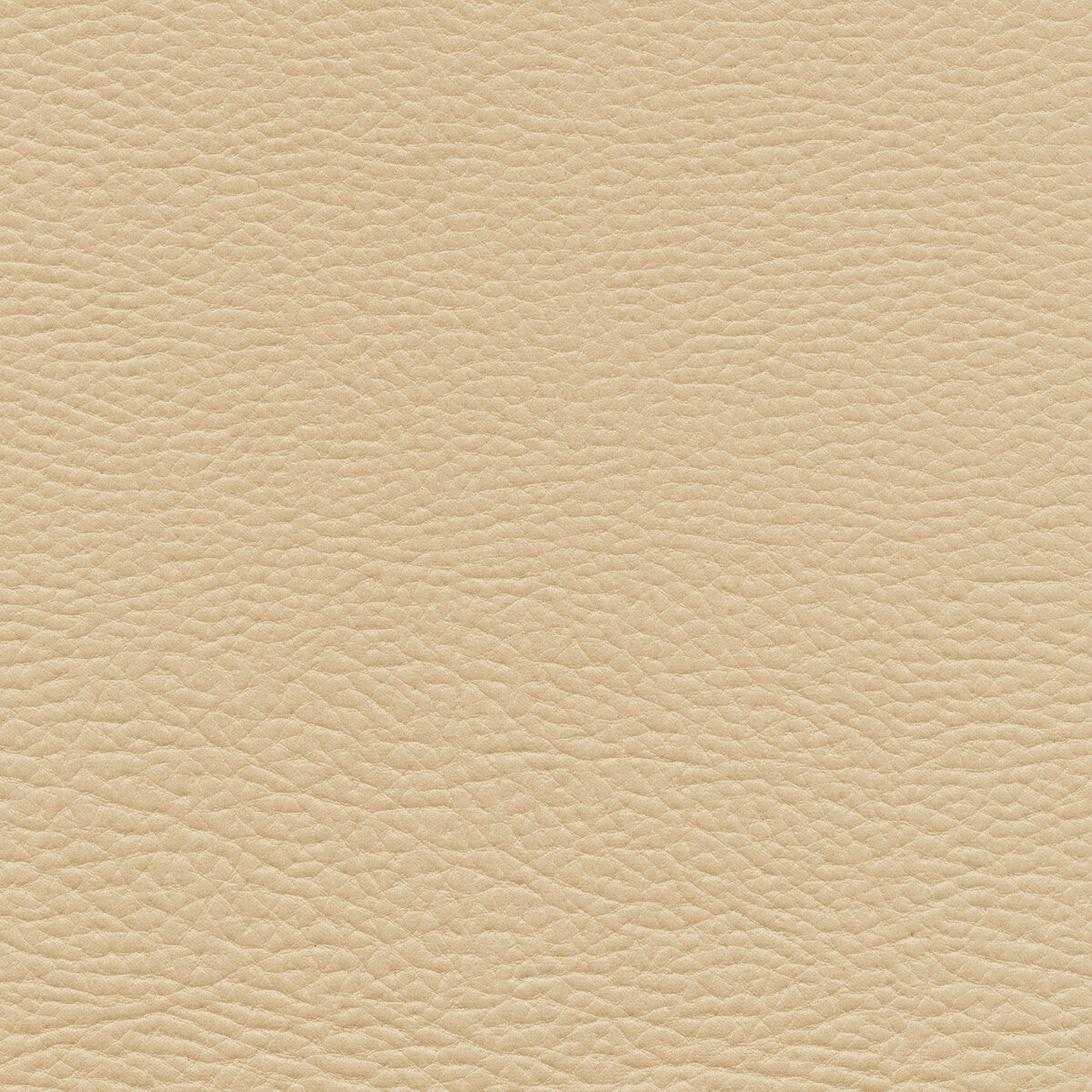 Kravet Design-Mashak-11