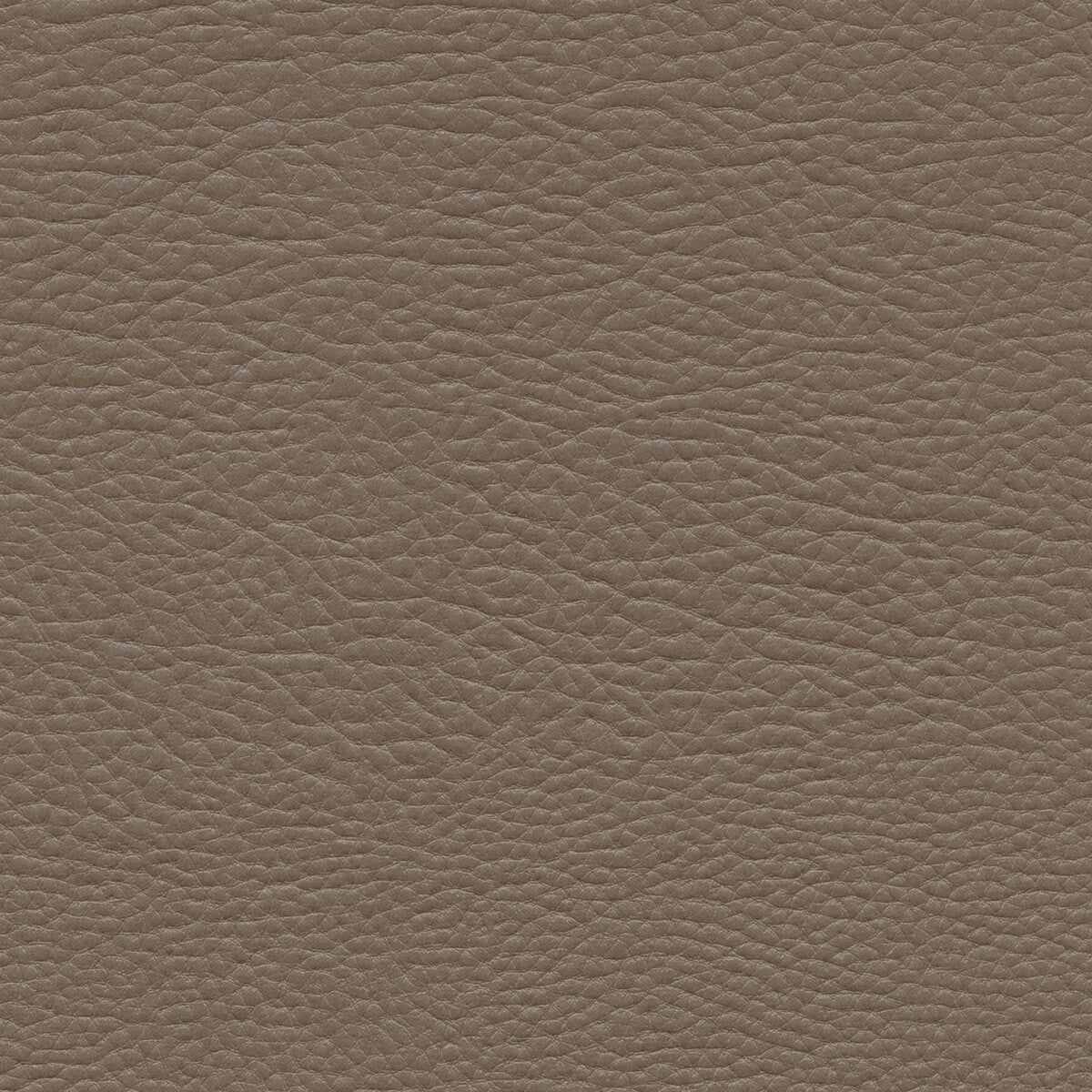 Kravet Design-Mashak-21