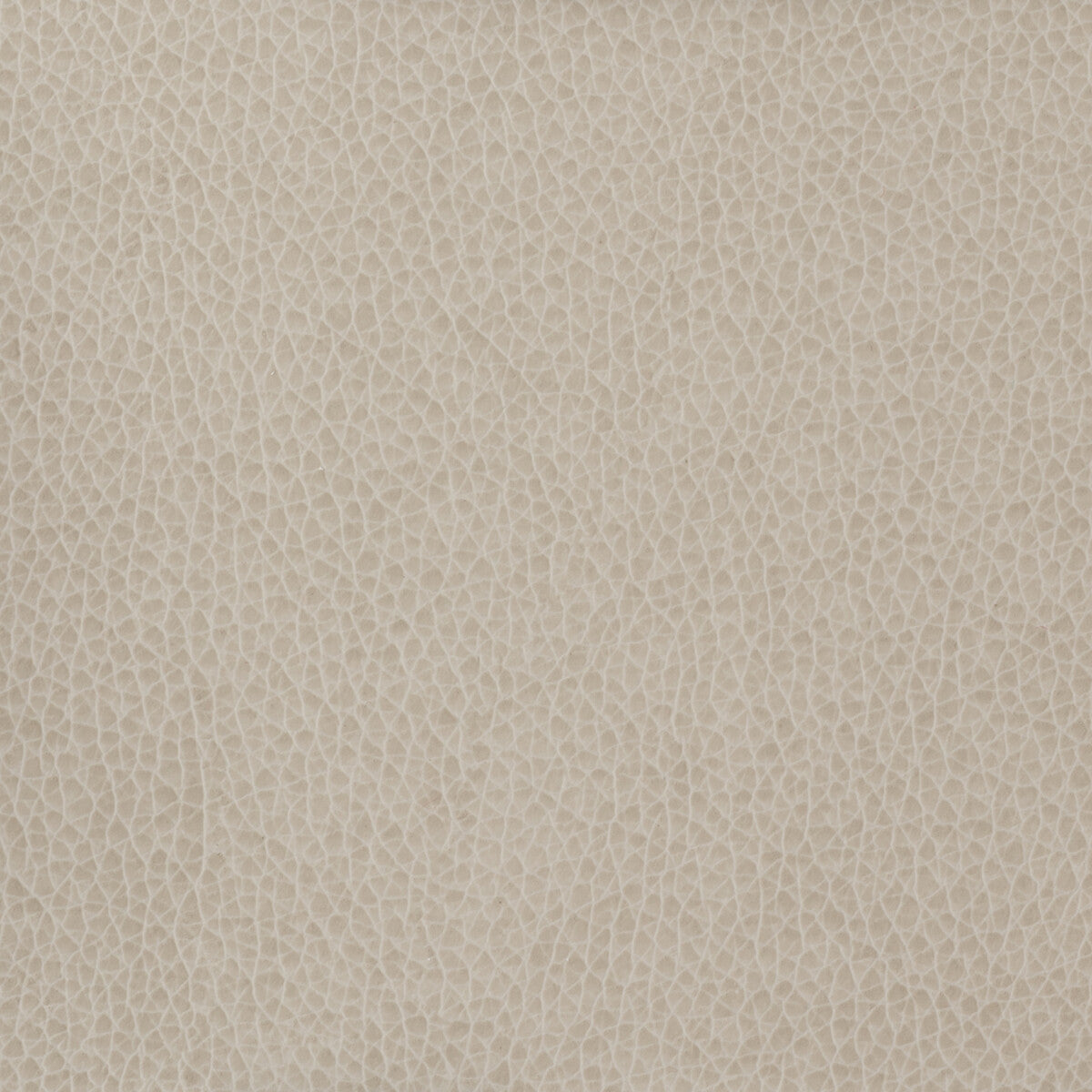 Kravet Basics-Matter-11
