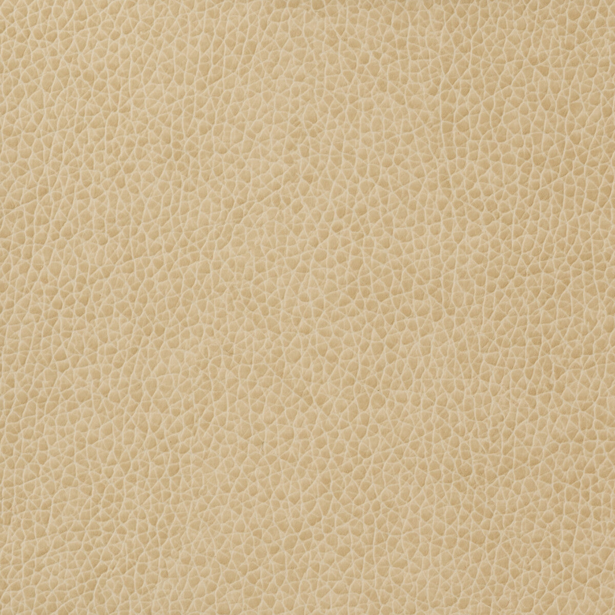 Kravet Basics-Matter-1116