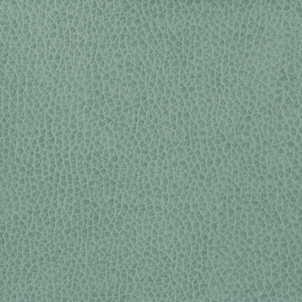 Kravet Basics-Matter-15