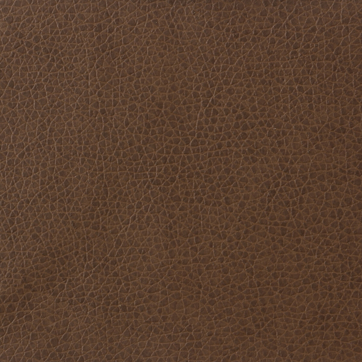 Kravet Basics-Matter-6