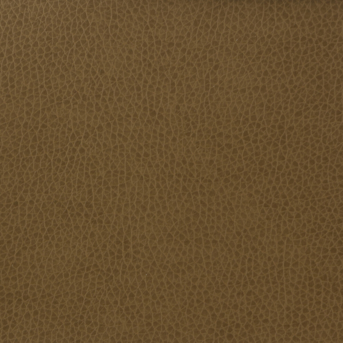 Kravet Basics-Matter-606