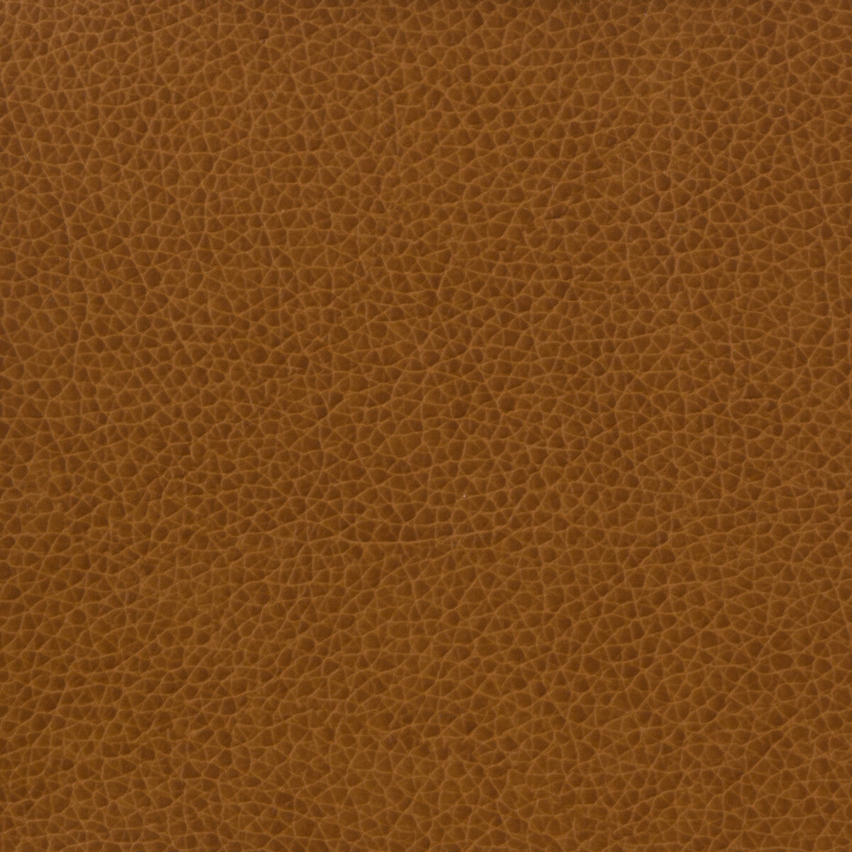 Kravet Basics-Matter-616