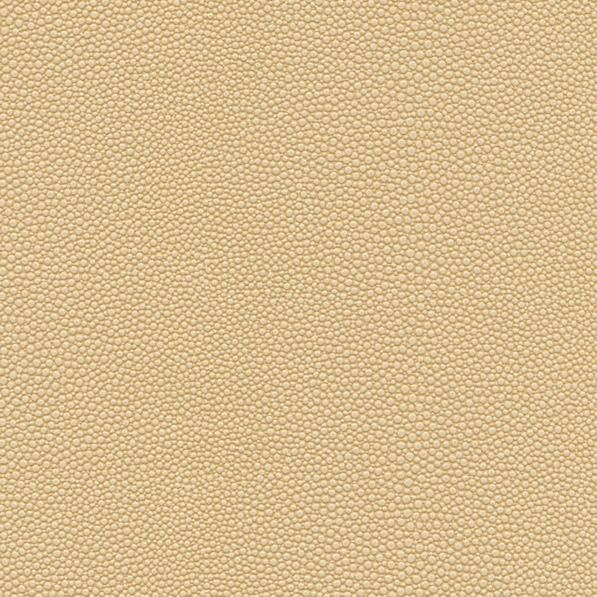 Kravet Design-Mindy-1611