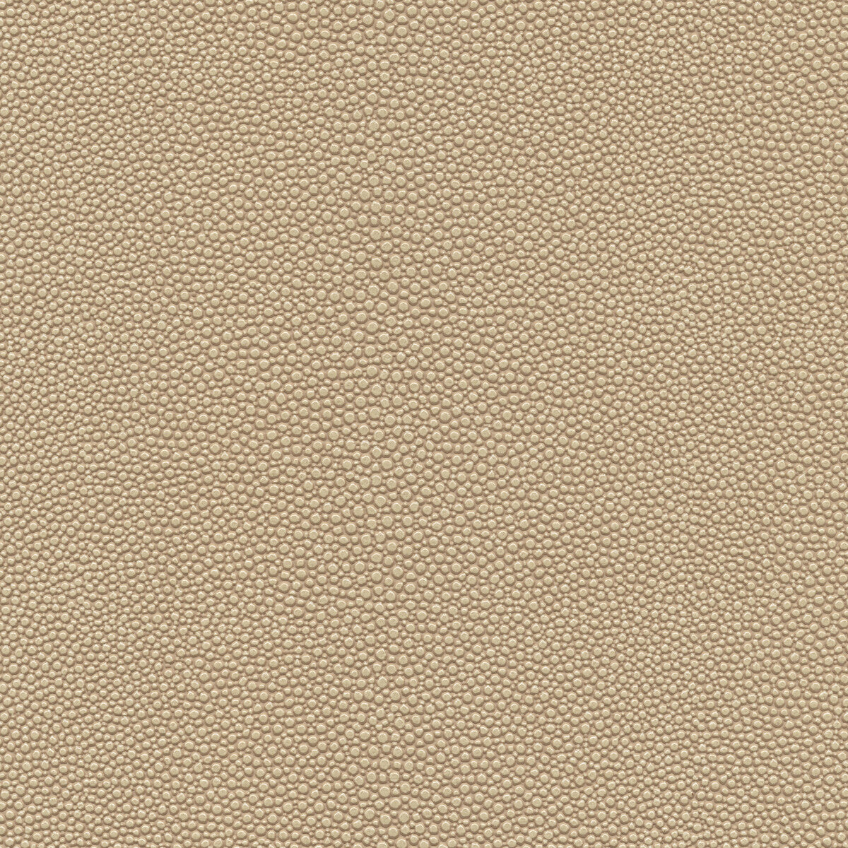 Kravet Design-Mindy-21