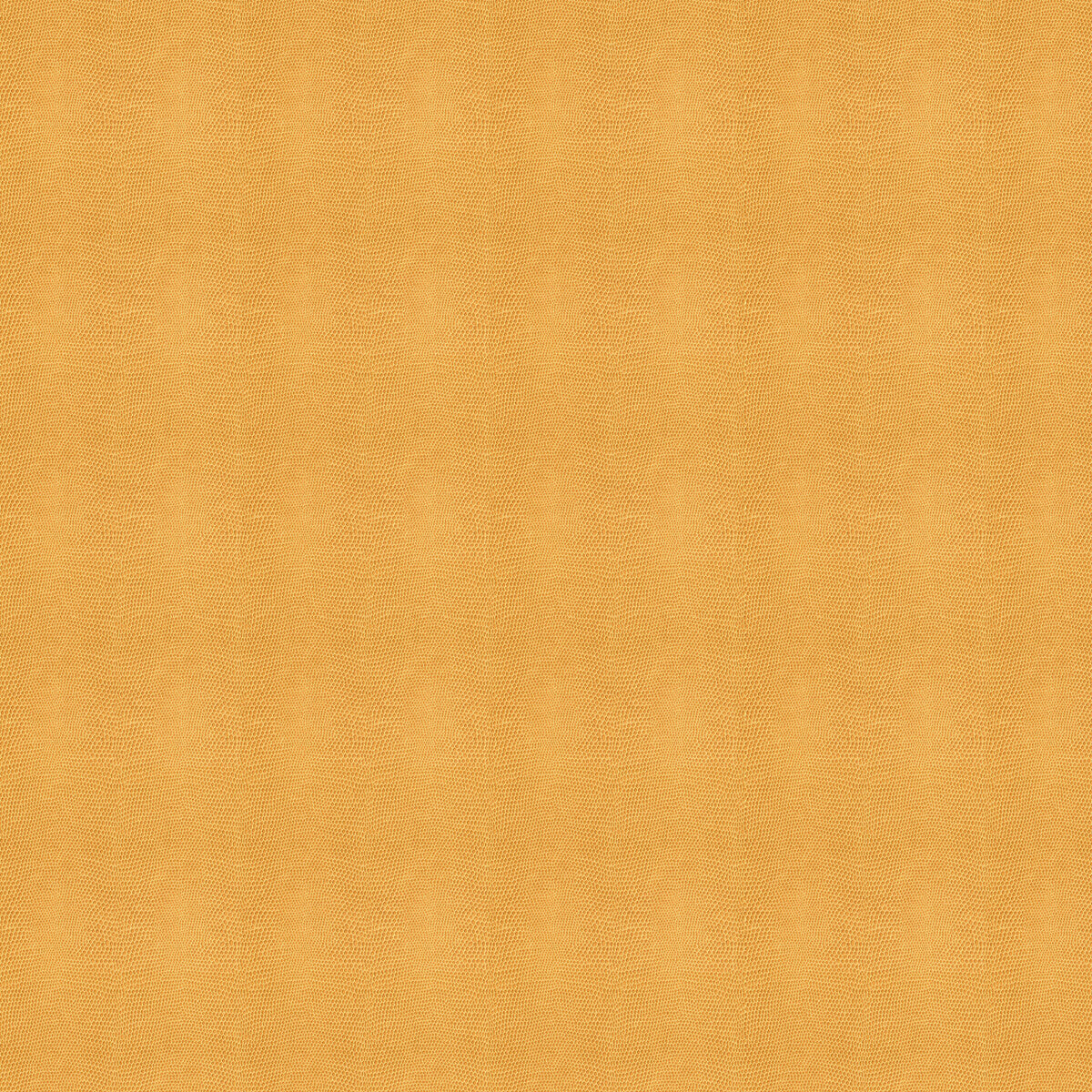 Kravet Design-Moccasin-1616