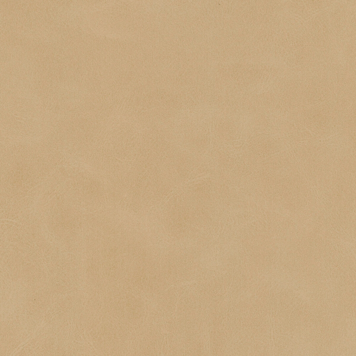 Kravet Design-Mojari-11