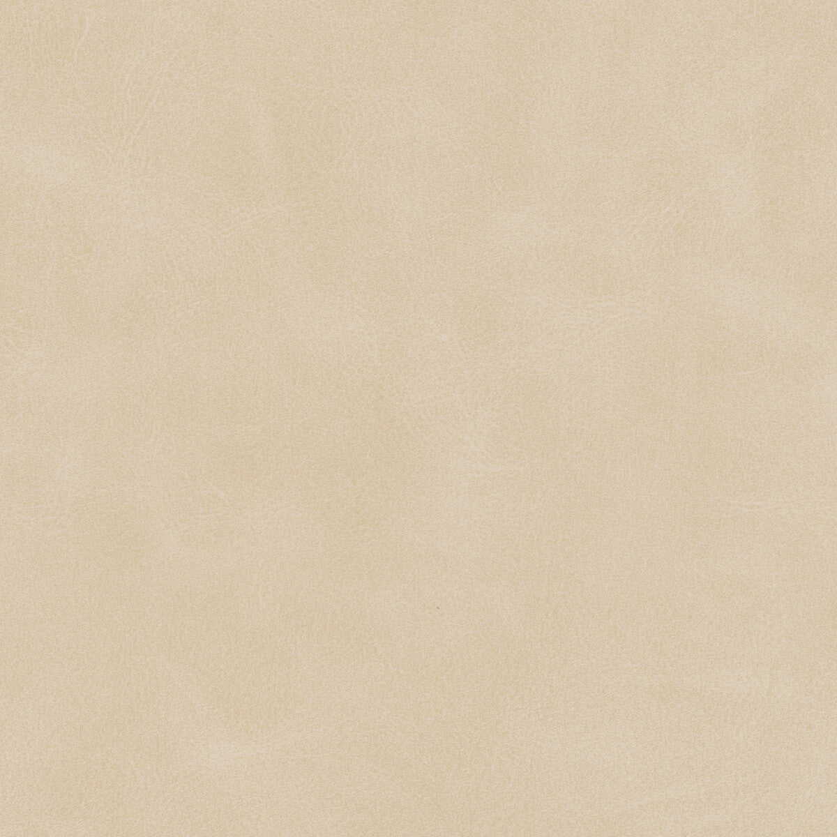 Kravet Design-Mojari-1101