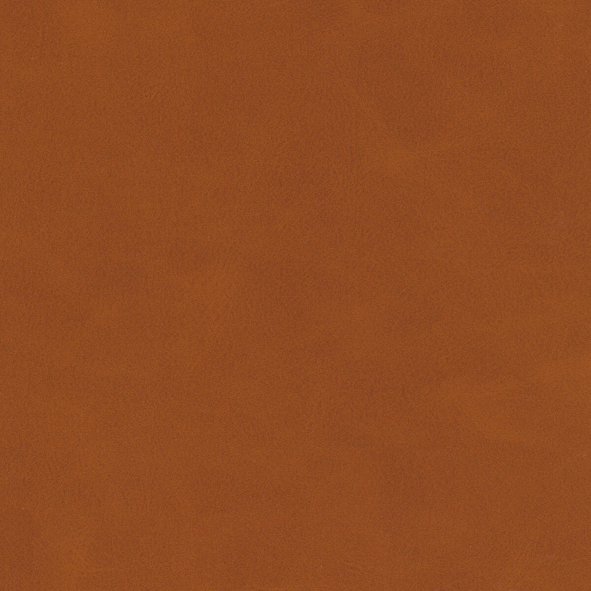 Kravet Design-Mojari-6