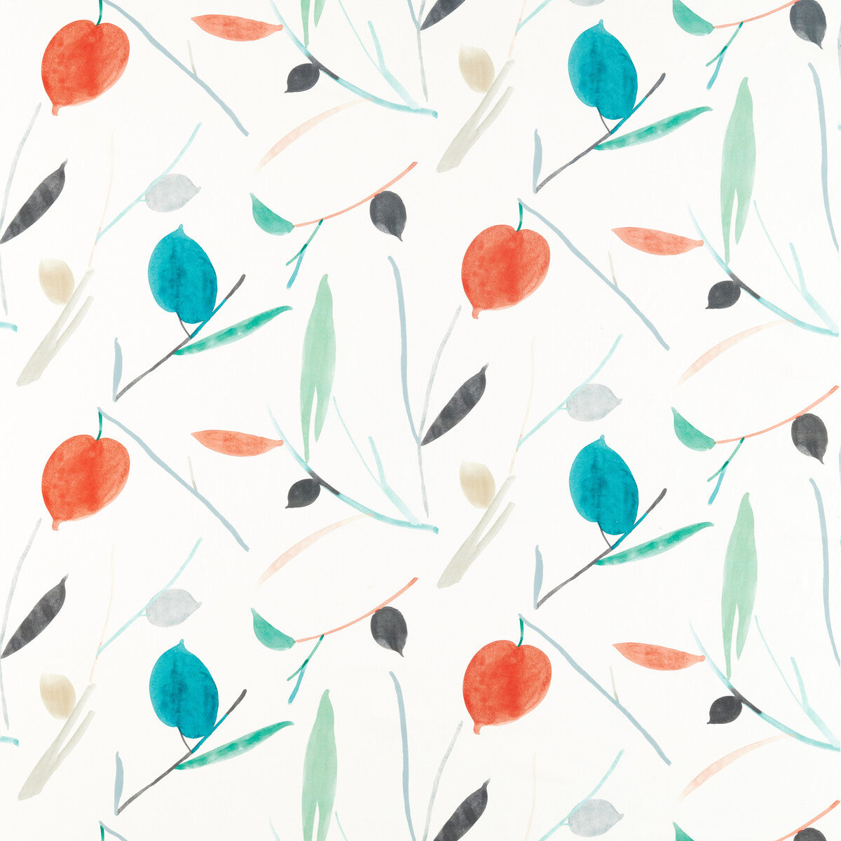 Oxalis-Pimento/Marine