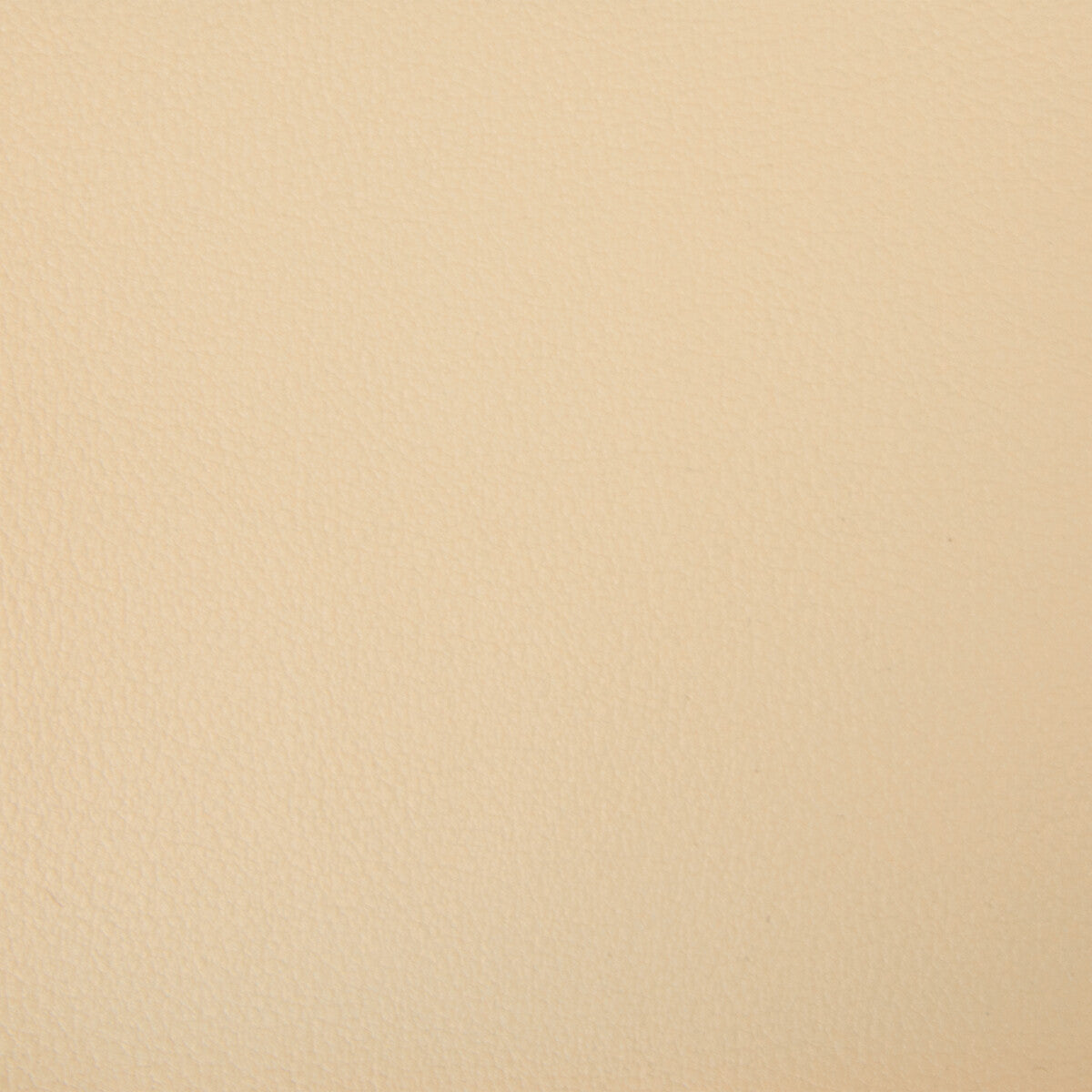 Kravet Smart-Newt-16