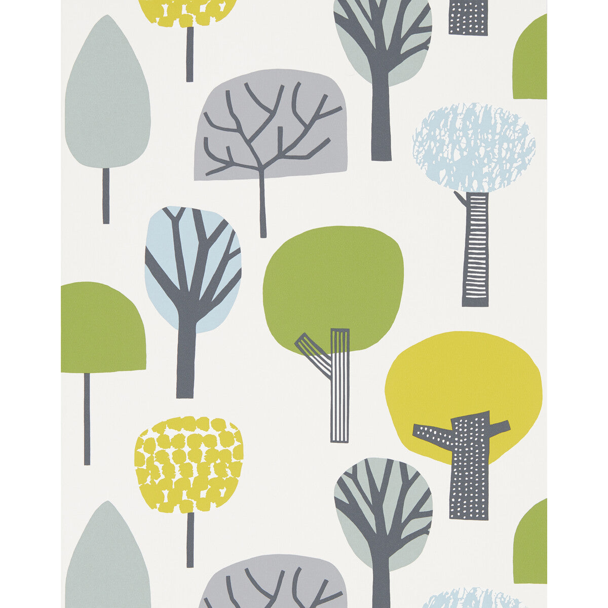 Liora-Citrus/Gecko/Glacier