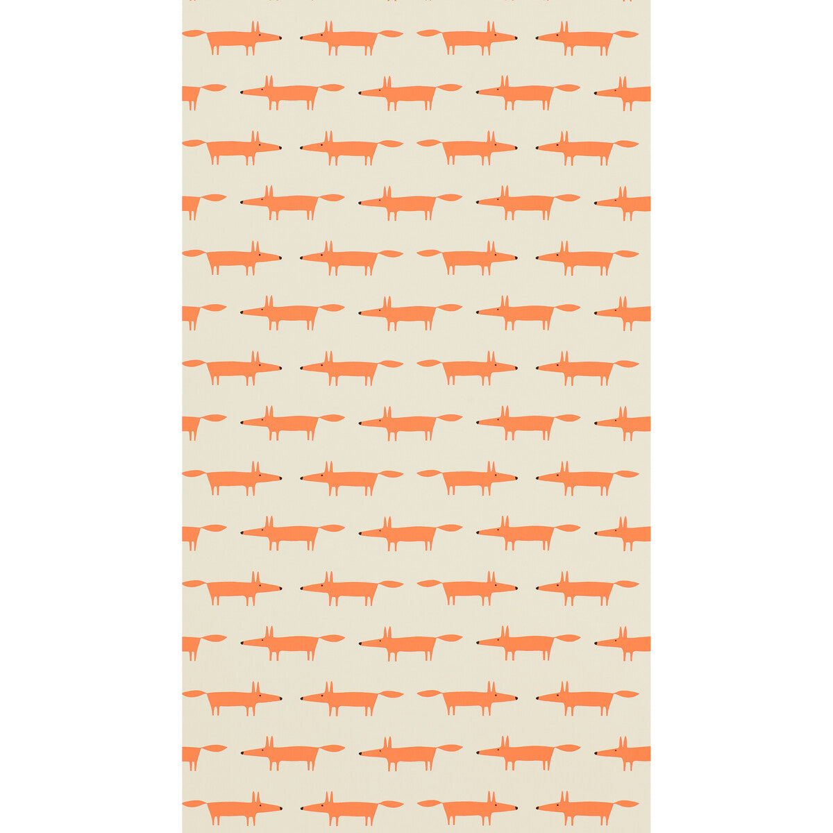 Little Fox Wp-Ginger