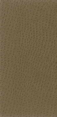 Kravet Basics-Nuostrich-106